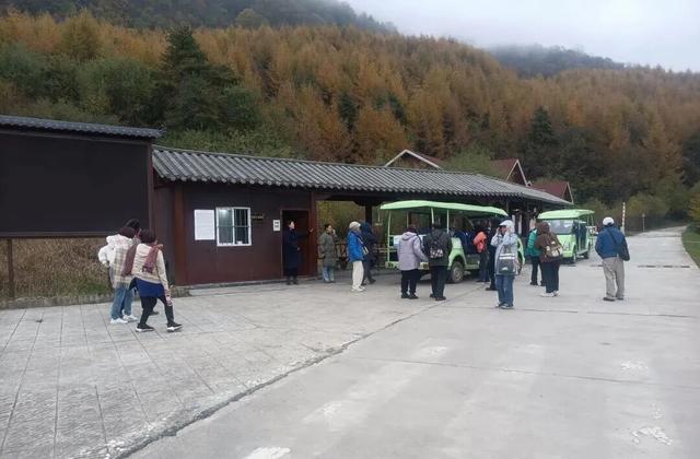 秋日限定丨云屏的秋 把浪漫染成了红色