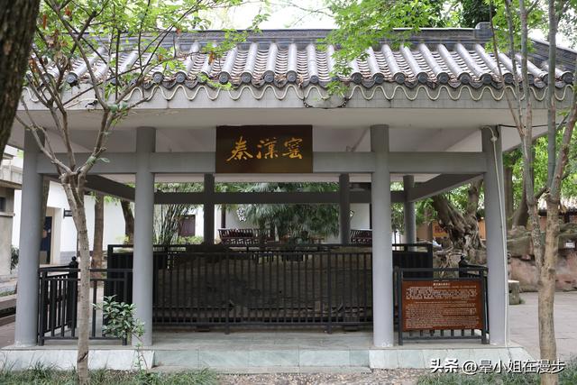 成都这12个好玩又免费的主题博物馆，你带娃去过几个？