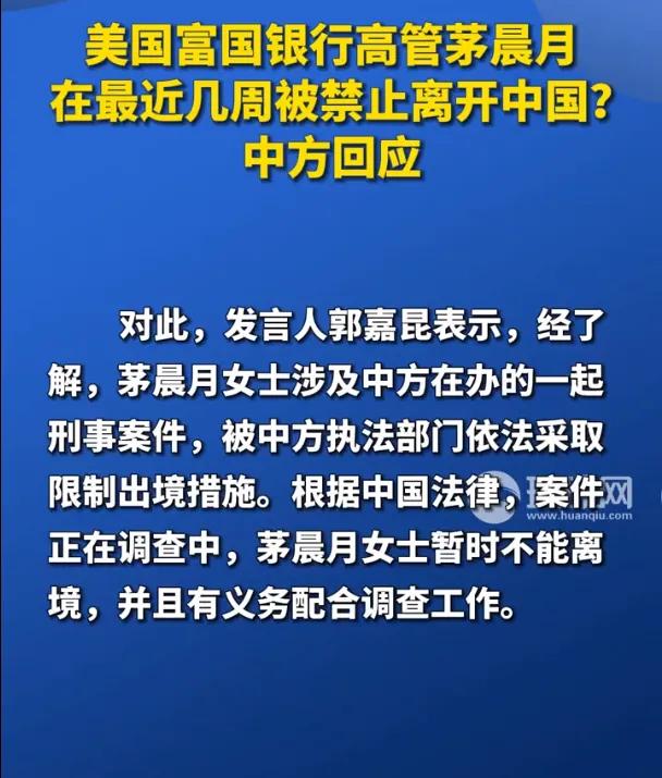 事件升级！美籍高管登机被拦，灰色操作曝光，原来茅晨月是条大鱼
