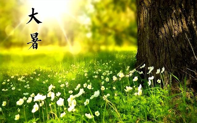“冷不冷，就看大暑”，今天大暑，今年是60年一遇冷冬吗？早了解