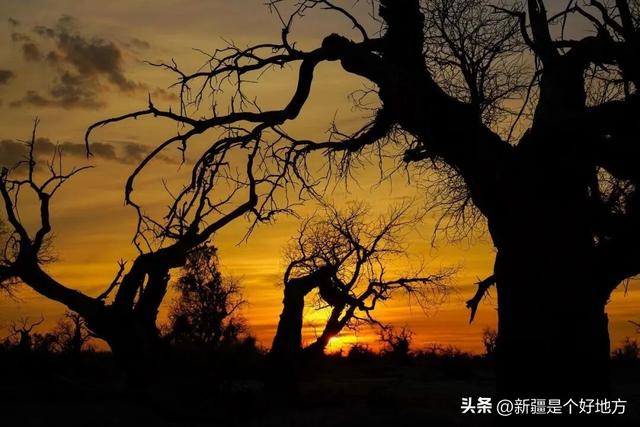 克拉玛依5处小众赏秋地，别只说它「油」了！