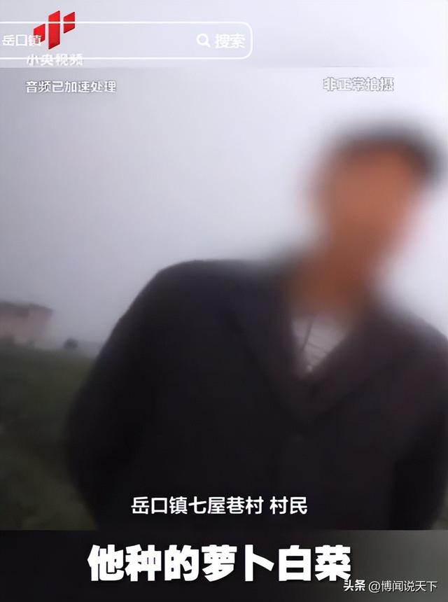 央视曝光毒红薯！商户主动投毒，流窜至全国多地，背后利益链曝光