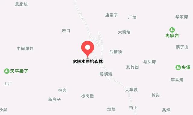贵州绥阳的宽阔水原始森林