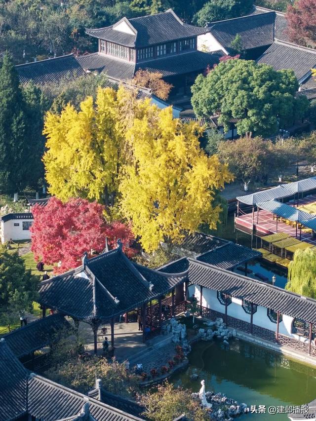 建邺5大封神赏景地,错过再等一年