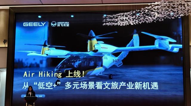 2025中国旅游景区协会旅游度假区高质量发展大会在武当山召开