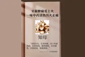 牙龈肿痛爱上火，一味中药清热泻火止痛图片