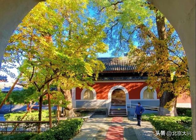 绝美！北京秋季颜值已达巅峰！这样定格最美秋天！