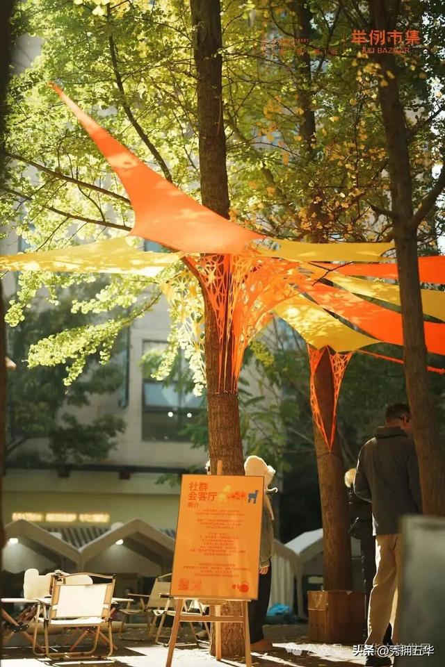 赏银杏、会海鸥，邂逅一场丰容的“昆明式暖冬”