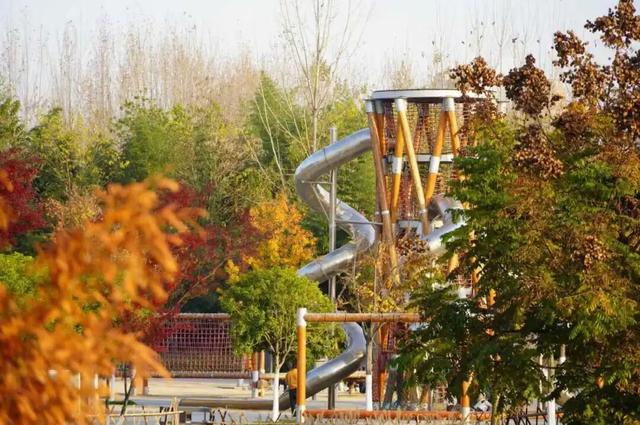 汉台的秋，真美....