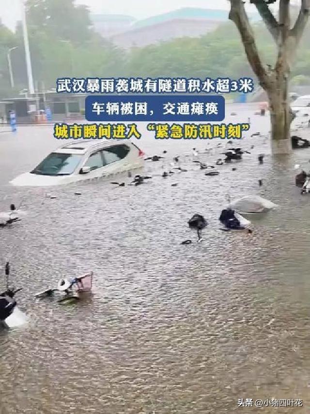 十堰强势逆袭！武汉襄阳集体看呆