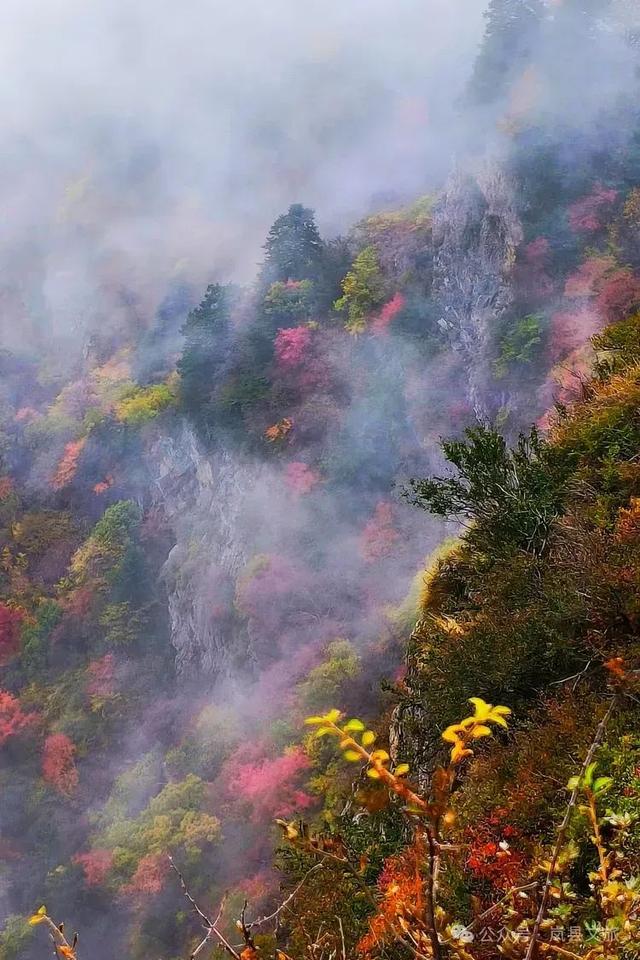 岚县白龙山