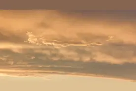 孔子看股市（《论语》随想·番外篇）图片