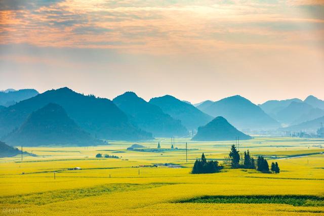 去罗平，追中国第一抹春！油菜花海已进入最佳观赏期，不要错过！