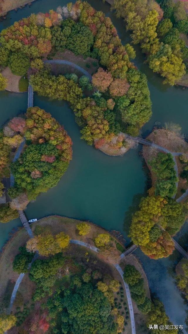 周末去打卡丨来吴江，“捡秋”！