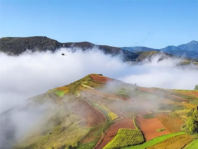 邂逅浪漫秘境 拥抱灵气氧吧