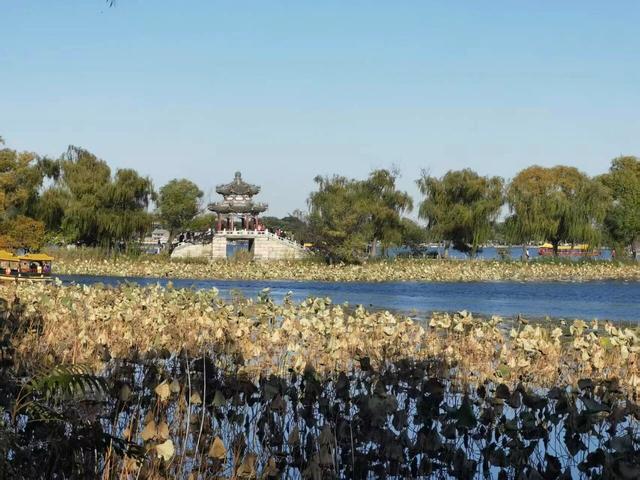 颐和园秋色印记