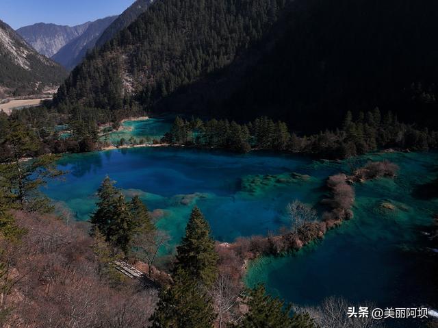 收官！2026马年春节九寨沟景区绘就文旅融合新图景