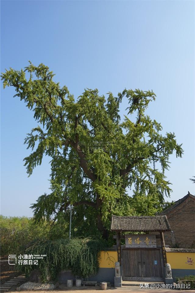 藏在秦岭的“最小”寺庙，只剩一进大殿，一棵古树占了半个院子