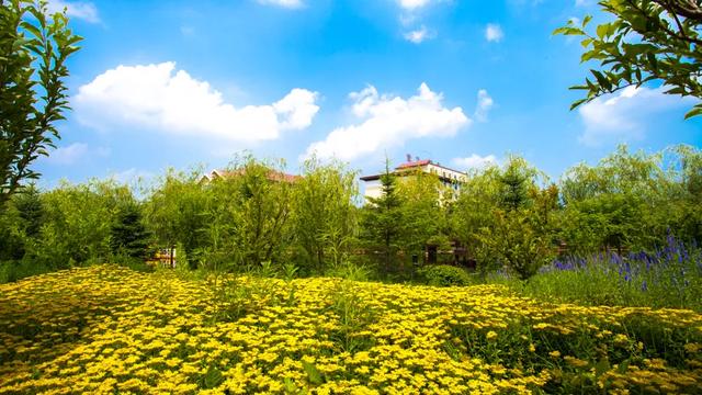 乘着高铁游白山 | 双节同庆 白山市彩色研学3日游