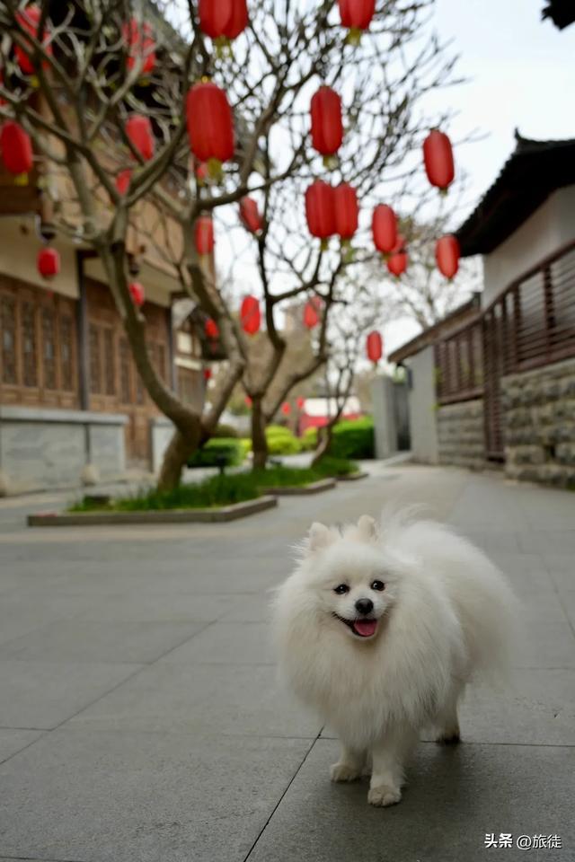 【跟着旅徒游广西】之四十一:南宁|相思小镇