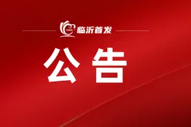 公告！临沂沂南教育系统人才引进！图片
