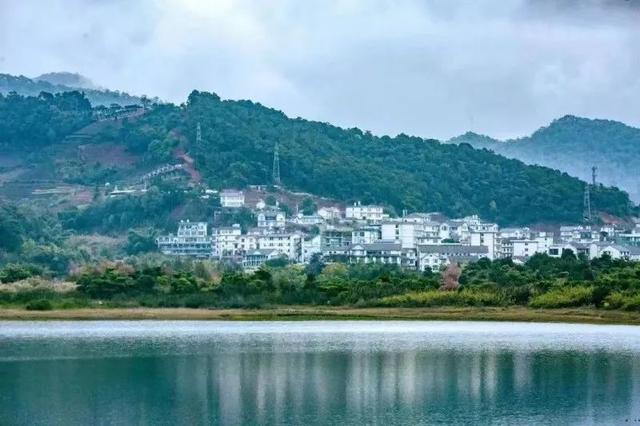 中央、省级媒体刊文，点赞普洱成为暑期游客新选择