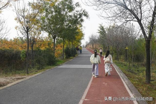 闻喜县：初冬的森林公园休闲打卡好去处