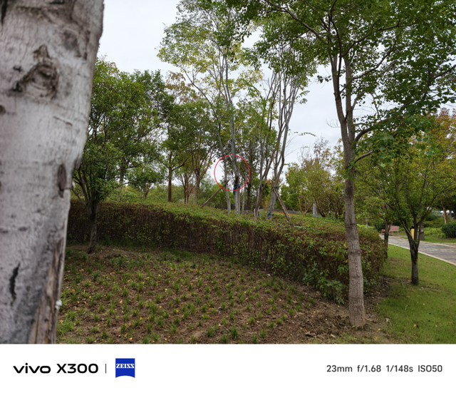 vivo X300系列评测：同级巅峰影像 出片易如反掌