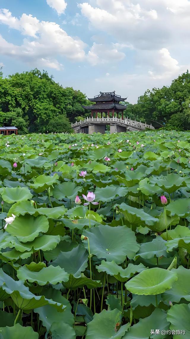 奇了怪了！为什么有人喜欢拿武汉东湖与杭州西湖来进行比较？