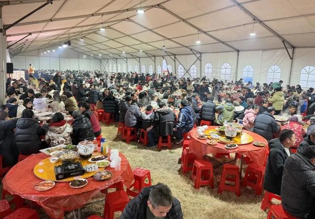 19.39万人次！临安火火火！