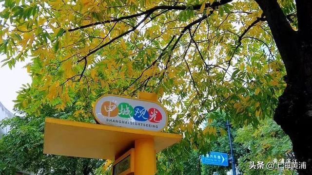 黄浦的秋：色彩与诗意“交响”