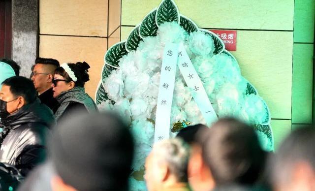 何晴葬礼举行！儿子手捧骨灰，遗像曝光惹泪目，廖京生现身送别