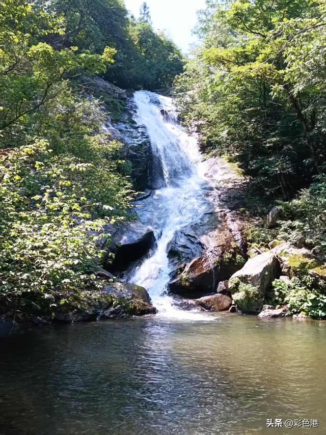 彩色旅图｜在红岭公路与黄牛一家子不期而遇，零星的牛粪点缀路面