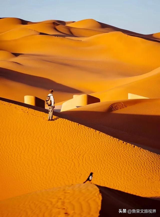 低调的财富绿洲：解锁鄂尔多斯的秘境之旅