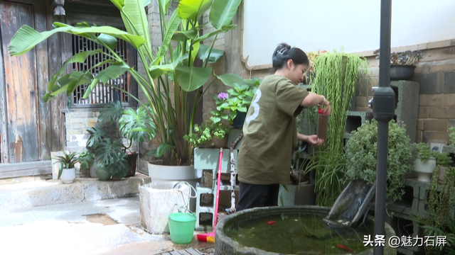千年石屏古城 正在绽放新的生机与活力