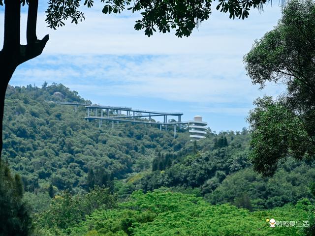 厦门上李水库公园游玩攻略，带你邂逅城市中的绿野仙踪