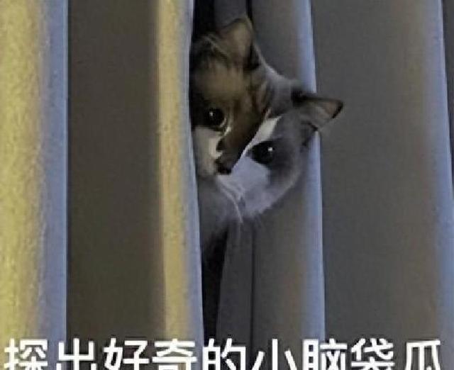 OpenAI奥特曼认错：我天生不适合管理公司