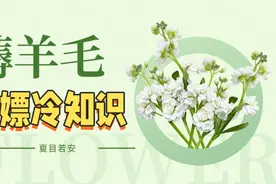 赶紧薅，银行的羊毛，别怪我没告诉你！！！图片
