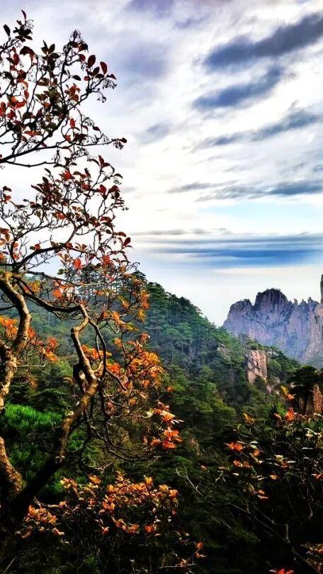 推窗见黄山：徽韵山景，揉进初冬 | 皖美冬日 | 第十五届安徽国际文化旅游节