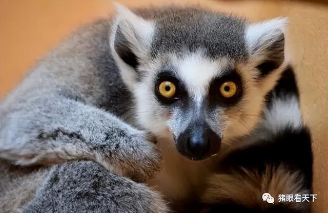 老爸眼里的神秘非洲