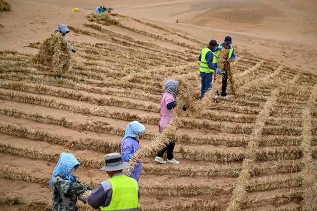 西方媒体：中国不可怕，可怕的是中国成为首个能消灭沙漠的国家！