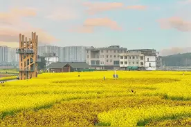 已火出圈！成都人周末的朋友圈被它承包了图片