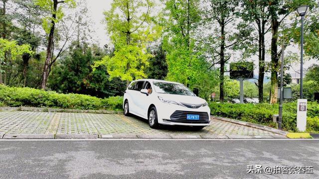 记四川雅安碧峰景色