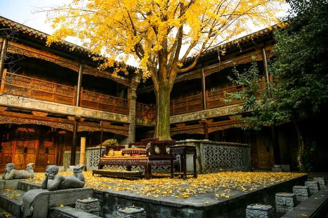 抓住秋天的尾巴 | 台儿庄古城秋色打卡指南，附私藏机位！