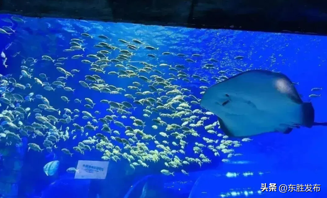 速来！半价特惠！