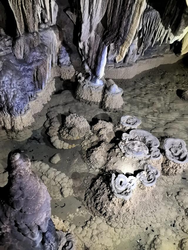 带小朋友去贵州茂兰,连环探洞加漏斗原始森林徒步二日游全攻略!