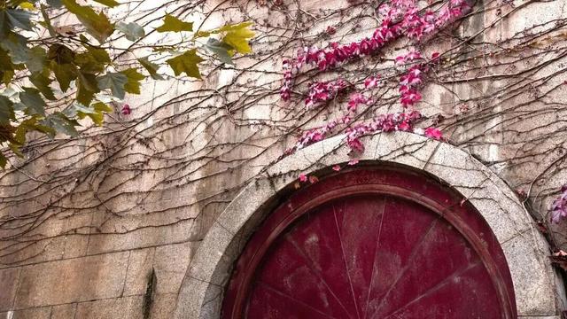 打卡限时浪漫，一键收藏隐珠街道最美秋色！