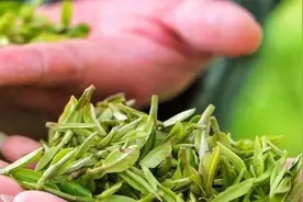 近十年最好！正宗西湖龙井上市啦~图片
