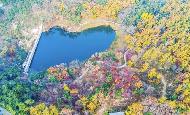 沂蒙山景区推“农民免票月”