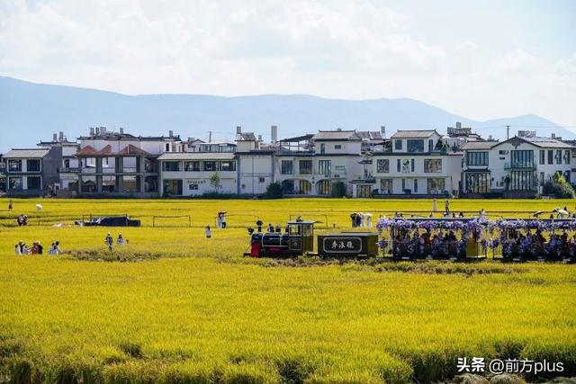 这场不等人的浪漫，有新玩法
